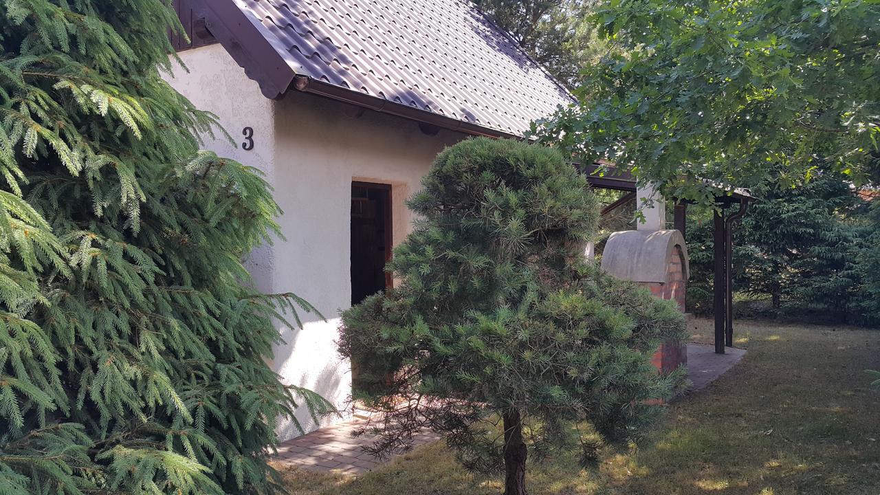 Osada Pod Czerwonym Debem - Czarny Mlyn Villa Jastrzębia Góra Buitenkant foto